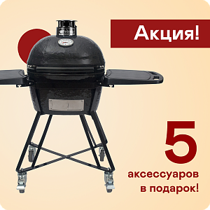 картинка Керамический гриль Primo Oval Junior All in One